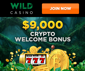 online gambling  site